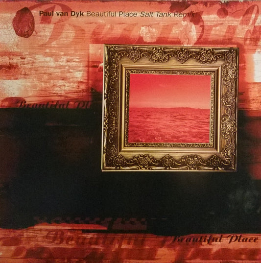 Paul van Dyk - Beautiful Place (Salt Tank Remix)(VINYL) | Excellent (EX) Excellent (EX) - TRANCE / USED *EXCELLENT*