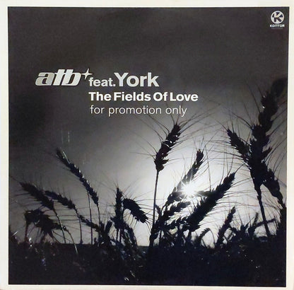 The Fields Of Love (12" VINYL) | Very Good Plus (VG+) Excellent (EX) - TRANCE / USED *VERY GOOD+*