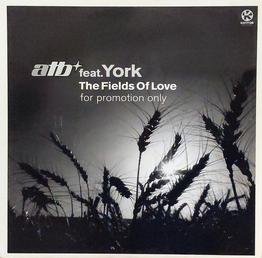 The Fields Of Love (12" VINYL) | Very Good Plus (VG+) Excellent (EX) - TRANCE / USED *VERY GOOD+*