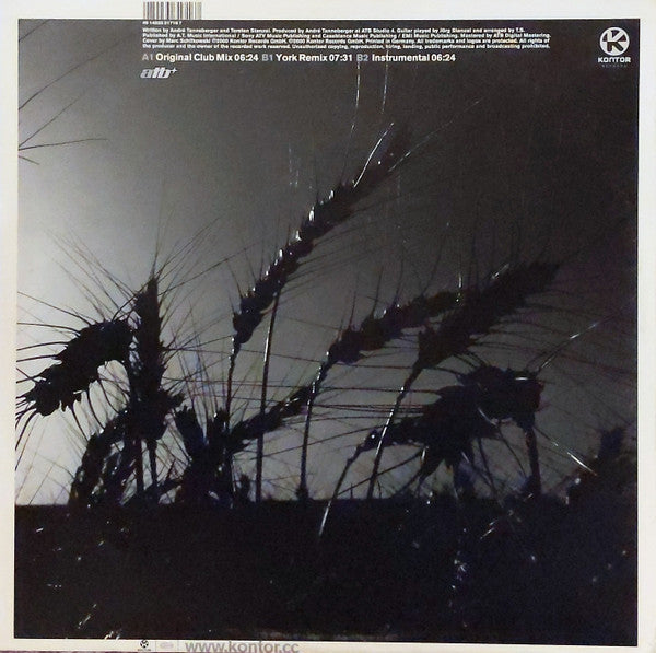 The Fields Of Love (12" VINYL) | Very Good Plus (VG+) Excellent (EX) - TRANCE / USED *VERY GOOD+*