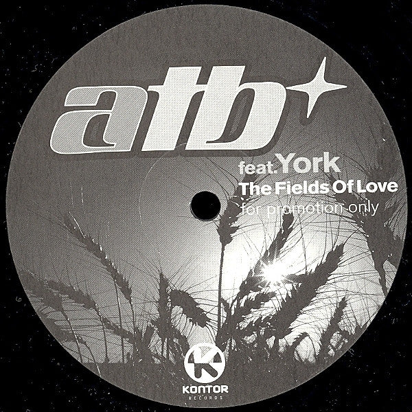 The Fields Of Love (12" VINYL) | Very Good Plus (VG+) Excellent (EX) - TRANCE / USED *VERY GOOD+*