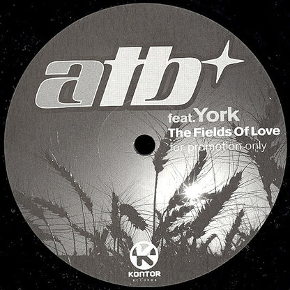 The Fields Of Love (12" VINYL) | Very Good Plus (VG+) Excellent (EX) - TRANCE / USED *VERY GOOD+*