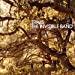 The Invisible Band (20th Anniversary) [LP] | Mint (M) Mint (M) - ALT/INDIE *SEALED*