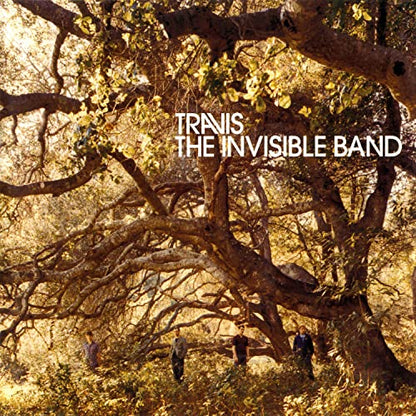 The Invisible Band (20th Anniversary) [LP] | Mint (M) Mint (M) - ALT/INDIE *SEALED*
