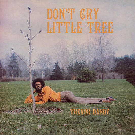 Don't Cry Little Tree |