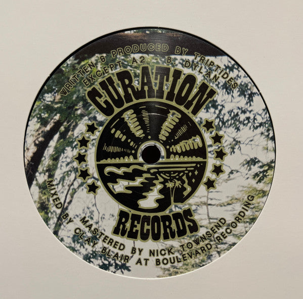 Triptides - So Many Days | Mint (M) Mint (M) - ROCK
