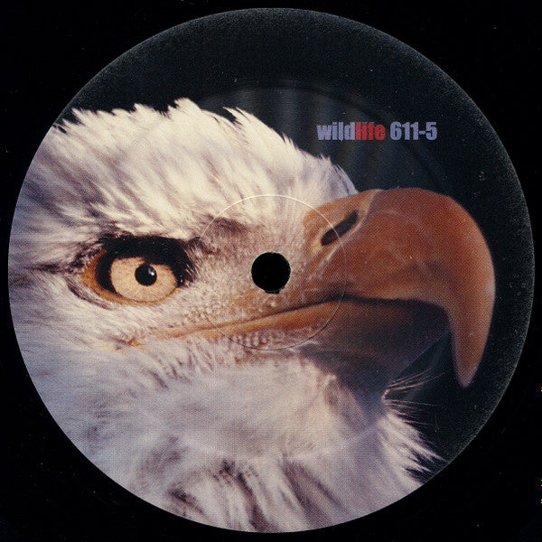 DJ Debra - Radical | Excellent (EX) Very Good (VG) - TRNCE / USED *EXCELLENT*