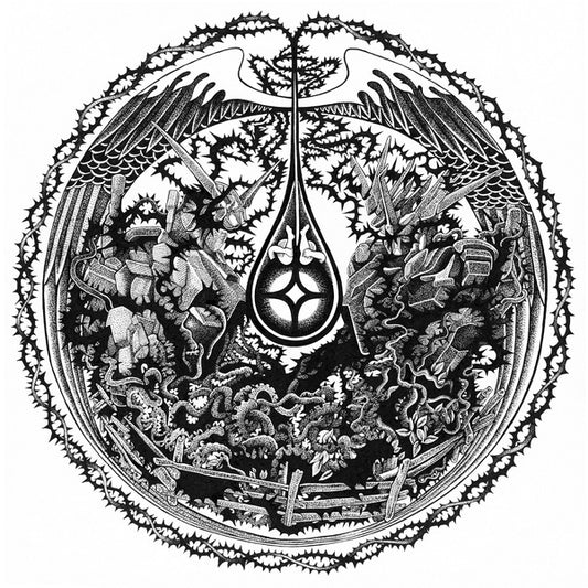 Briars on a Dewdrop |