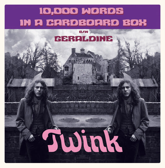 Twink - 10,000 Words In A Cardboard Box |