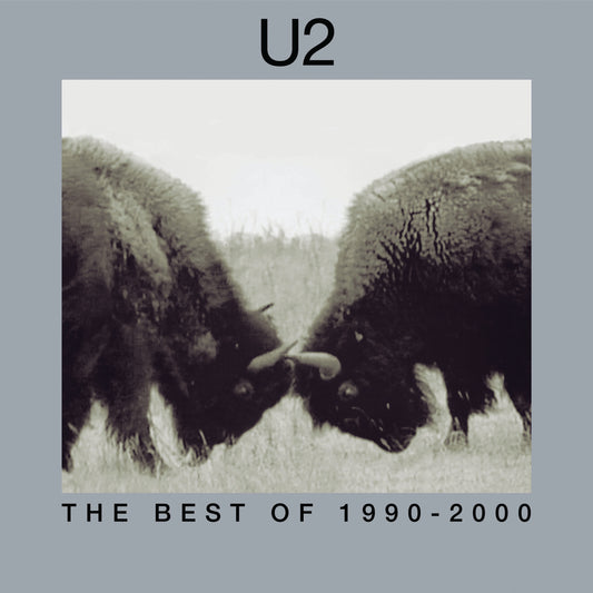 The Best Of 1990-2000 (180 Gram Vinyl) (2 Lp's) | Mint (M) Mint (M) - ROCK *SEALED*
