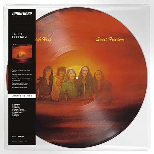 Sweet Freedom | Mint (M) Mint (M) - ROCK *SEALED/PICTURE DISK*