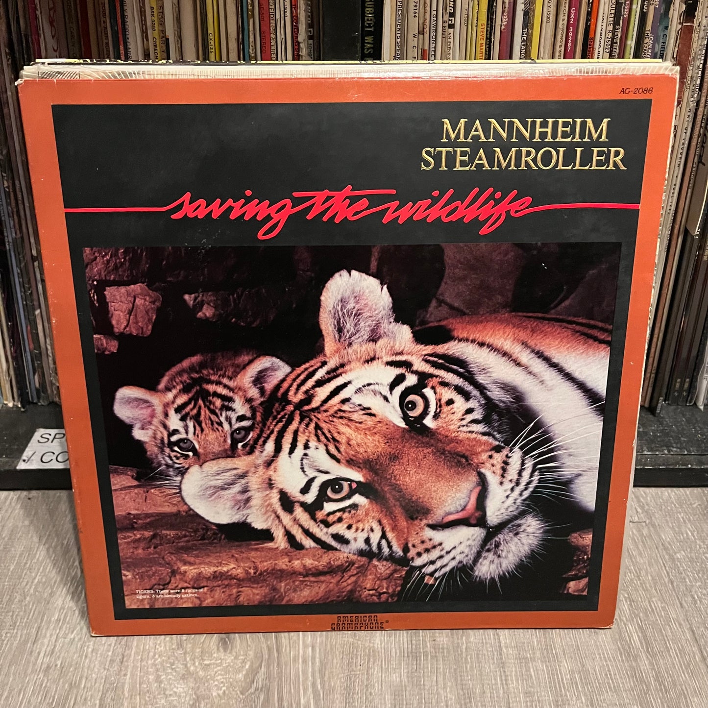 10 CLASSICAL RECORDS / VINYL (EX COND - LIST IN DESCRIPTION) | Excellent (EX) Excellent (EX) - USED