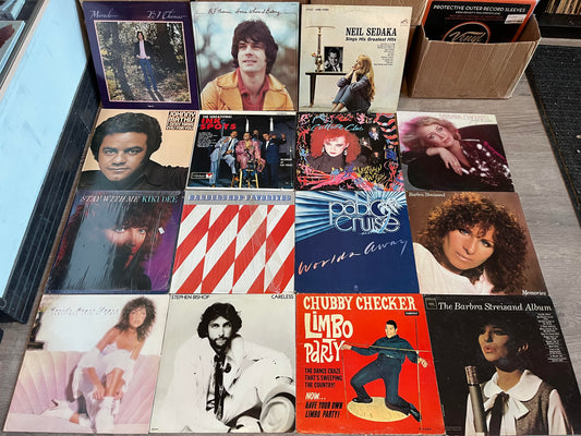 15 POP VINYL LPs COLLECTION LOT | - USED