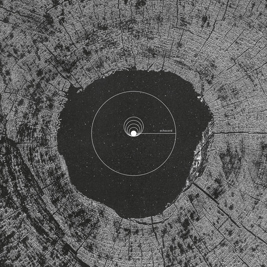 Va - Echocord - 20 Years (Black Vinyl) |