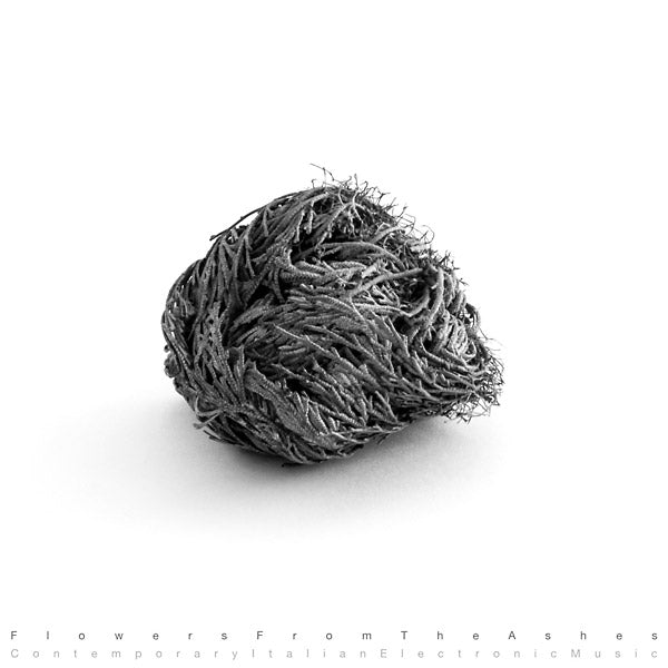 Flowers From The Ashes: Contemporary Italian Electronic Music [Import] (VINYL) | Mint (M) Mint (M) - TECHNO *NEW*
