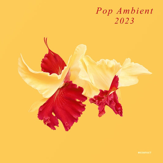 Pop Ambient 2023 |