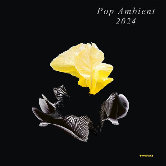 Va - Pop Ambient 2024 (CD) | NEW - AMBIENT *NEW*
