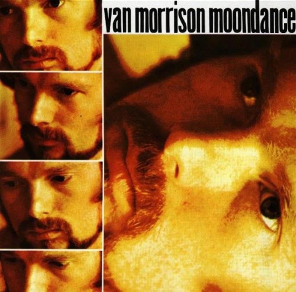 Van Morrison - Moondance [Import] |