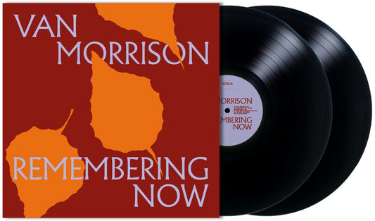 Remembering Now (2 LP) |
