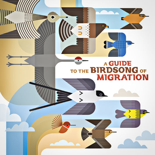 A Guide To The Birdsong Of Migration |