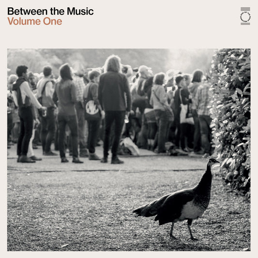 Various Artists - End Of The Road Presents: Between The Music |