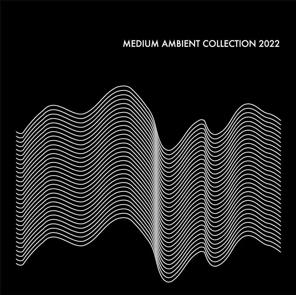 Various Artists - Medium Ambient Collection 2022 Black (VINYL 2xLP ASTROLLAGE 2024) | Mint (M) Mint (M) - AMBIENT *NEW*