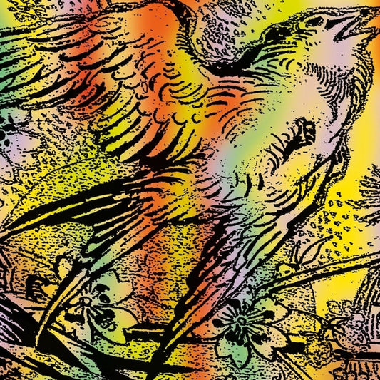 One Swallow Doesn'T Make A Summer Part 7 |
