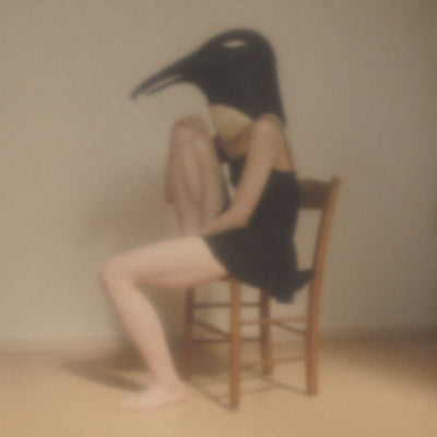 Penguin Cafe Orchestra-Tribute- |