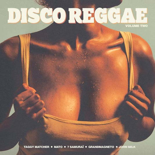 Disco Reggae Volume Two |