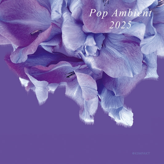 Pop Ambient 2025 |
