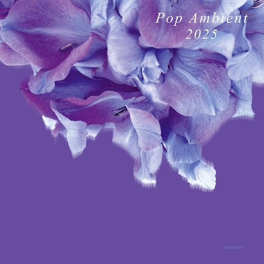 Pop Ambient 2025 |