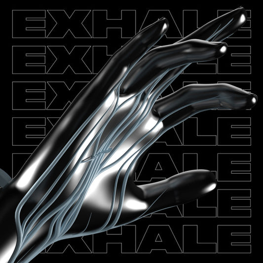 Various Exhale VA002 (Part 2) Exhale (2) 12" Mint (M) Mint (M)