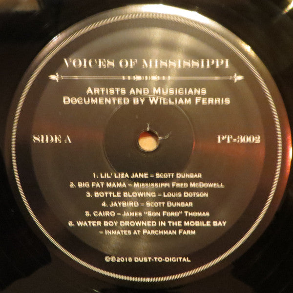Voices Of Mississippi (Artists And Musicians Documented By William Ferris) | Mint (M) Mint (M)
