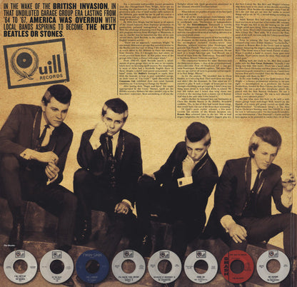 We're Gonna Change The World! (The 60's Chicago Garage Sound Of Quill Productions) | Mint (M) Mint (M) - ROCK
