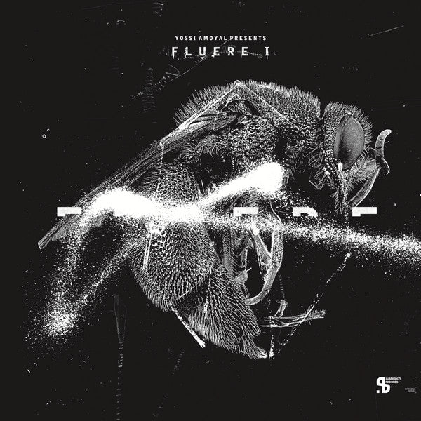 Yossi Amoyal Presents Fluere I | Mint (M) Mint (M) - EXPERIMENTAL *SEALED*