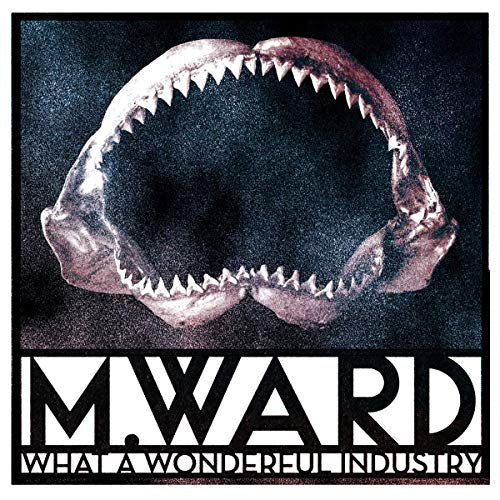 WARD,M. - WHAT A WONDERFUL INDUSTRY |