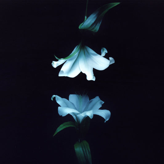 Nocturne (Indies Exclusive) [Blue Vinyl] |