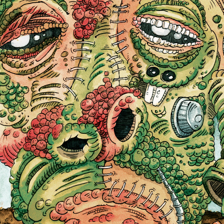 Ween - Shinola Vol. 2 |