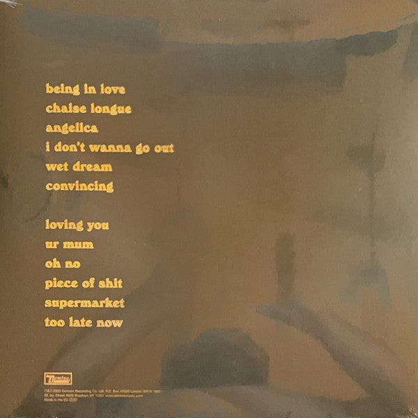Wet Leg Wet Leg Domino LP, Album Mint (M) Mint (M)