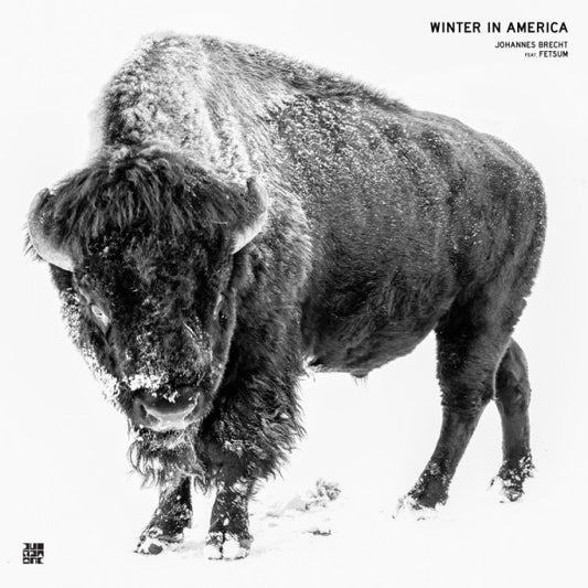 Winter In America | Mint (M) Mint (M)