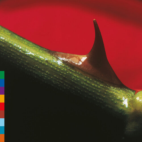 Nusrat Fateh Ali Khan & Party - (PRESALE 10/16/26) Night Song - Green (GREEN VINYL LP) | NEW - WORLD *NEW/COLOR*