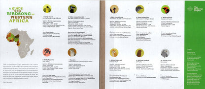 Various - A Guide To The Birdsong Of Western Africa (CD) | Mint (M) Mint (M) - WORLD *NEW*