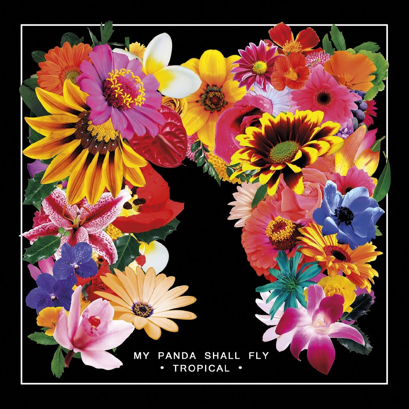 My Panda Shall Fly - Tropical | - WORLD *NEW*