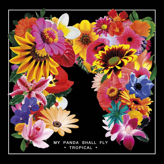 My Panda Shall Fly - Tropical | - WORLD *NEW*