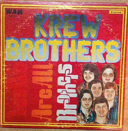 Yes We Are All Brothers (VINYL) | Near Mint (NM) Near Mint (NM) - WORLD/POLKA / USED *NEAR MINT*