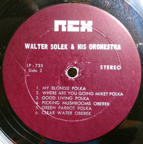 Walter Solek - Walt Solek Sings | Very Good Plus (VG+) Near Mint (NM) - WORLD/POLKA / USED *VERY GOOD++*