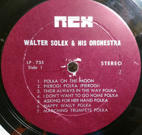 Walter Solek - Walt Solek Sings | Very Good Plus (VG+) Near Mint (NM) - WORLD/POLKA / USED *VERY GOOD++*