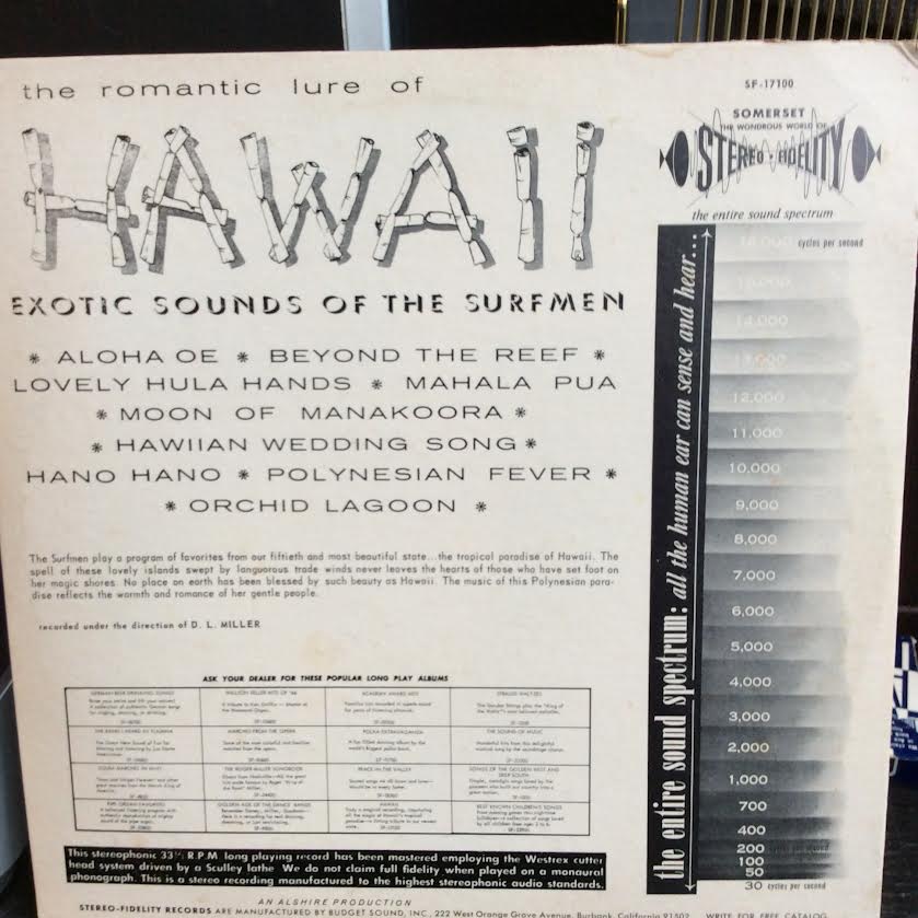 Hawaii (VINYL) | Near Mint (NM or M-) Near Mint (NM or M-) - WORLD / USED *NEAR MINT*