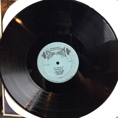 Hawaii (VINYL) | Near Mint (NM or M-) Near Mint (NM or M-) - WORLD / USED *NEAR MINT*