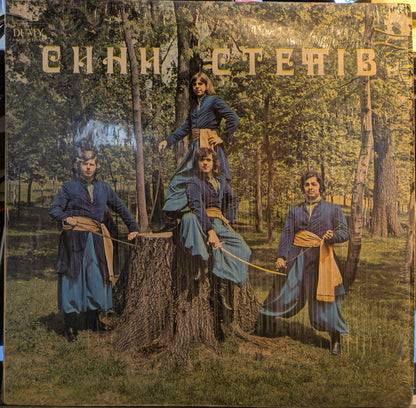 Сини Степів (VINYL) | Very Good (VG) Excellent (EX) - WORLD / USED *VERY GOOD*